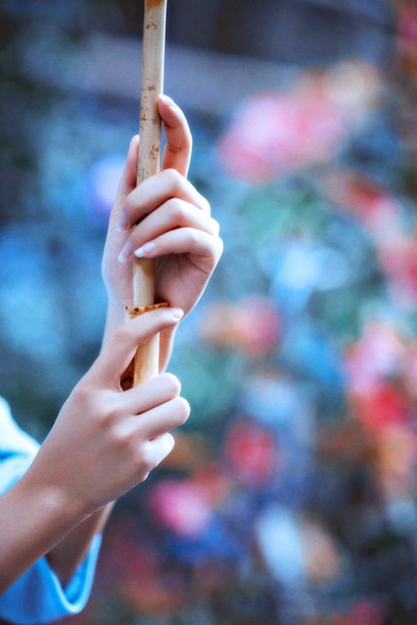 止于此|秋天总是温柔，因为这季节的本身就是一首诗