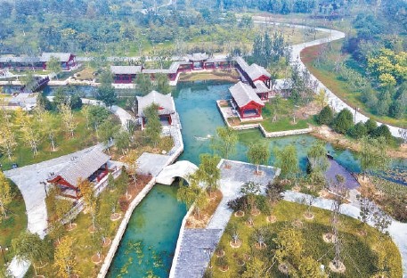 湿地|工业腾退地上建起湿地森林，漕运古镇张家湾再现“水巷茶棚”