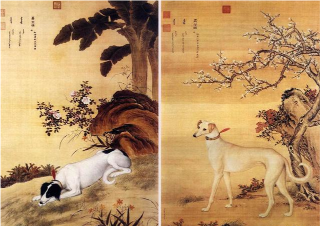 故宫古画里的10条狗每条都栩栩如生最后1条被称狗状元