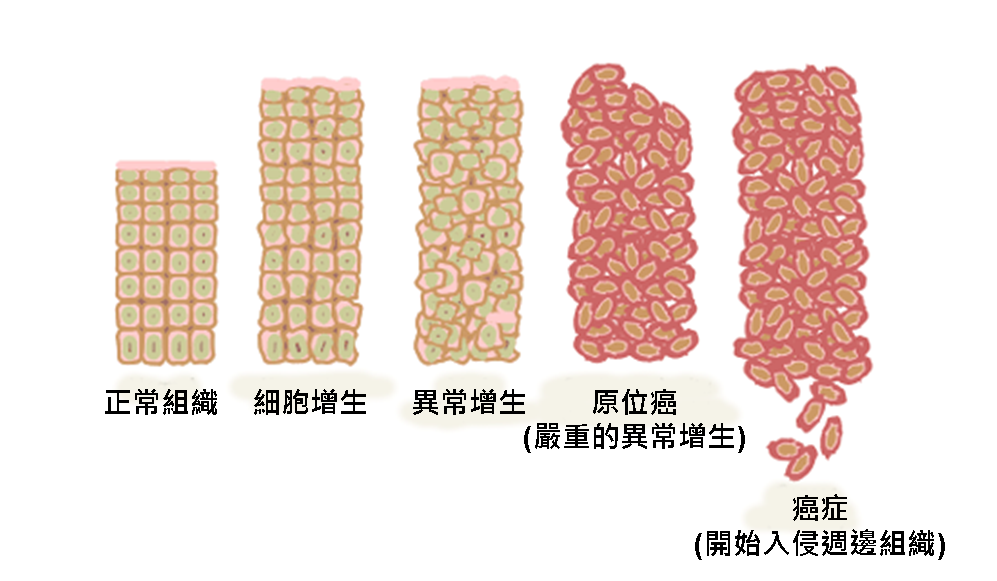 长生不老|它如果不死，就会一直活下去，科学家：我得研究研究了