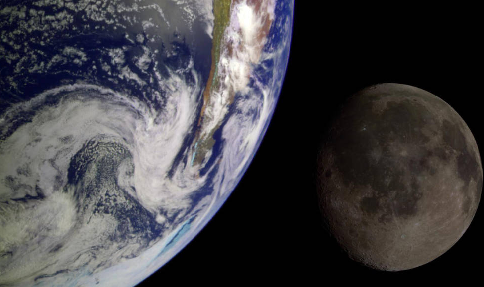 长生不老|它如果不死，就会一直活下去，科学家：我得研究研究了