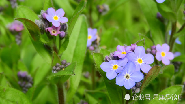 10月16日 日星座运势 白羊积极主动 狮子沟通顺畅 水瓶脚踏实地 白羊座 星座运势 狮子座