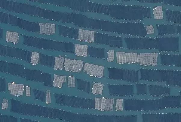 农民|中国可耕地仅有印度的2/3，咋让14亿人吃饱？