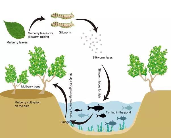 农民|中国可耕地仅有印度的2/3，咋让14亿人吃饱？