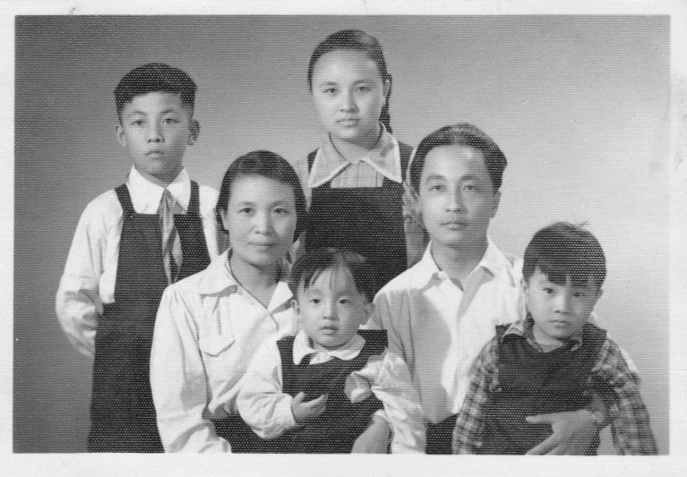 陈布文我选择自由自在地凋落