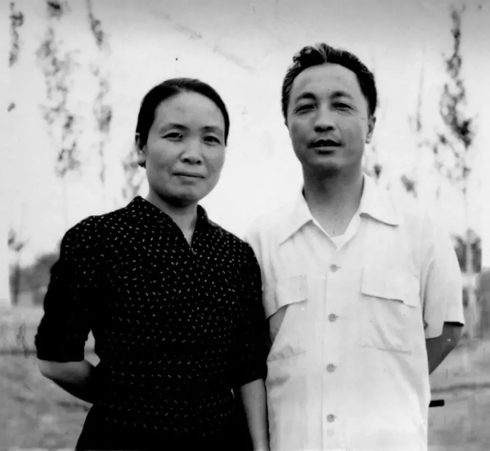 陈布文最后的日子