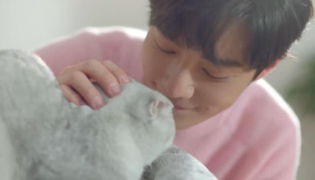 肖战新|肖战新代言成片曝光，穿粉毛衣吸猫变居家暖男，背后故事太心酸