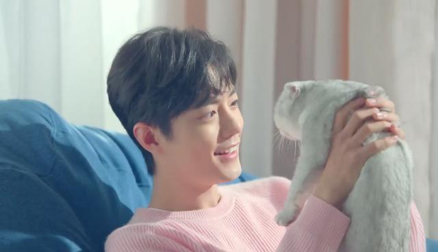 肖战新|肖战新代言成片曝光，穿粉毛衣吸猫变居家暖男，背后故事太心酸
