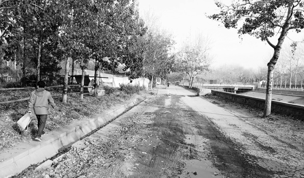 西五环|明年5月，永引渠全段将现滨水绿廊生态风貌