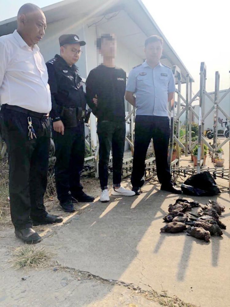 事发泰兴为了搞点野味尝尝俩好友相约去打鸟结果双双被抓