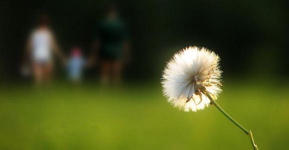 壹点号|善待每一个今天