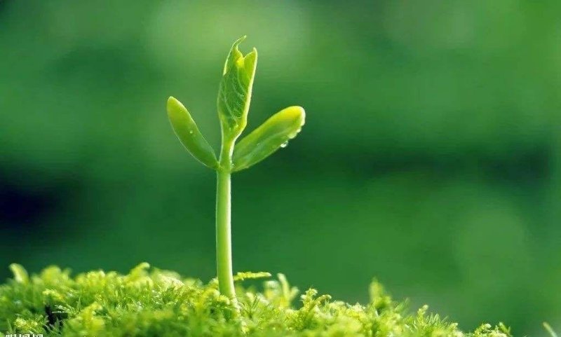 壹点号|善待每一个今天