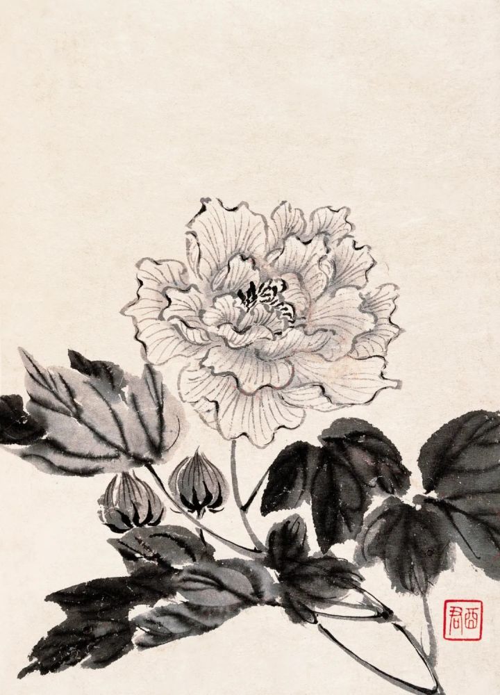 【精品欣赏】蒋廷锡花鸟画欣赏