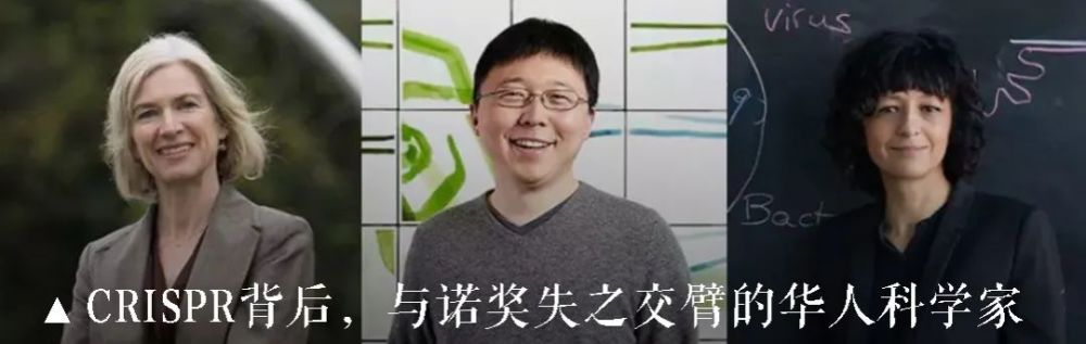 诺贝尔化学奖|那些“错失”诺奖的华人科学家们｜BIOgraphy