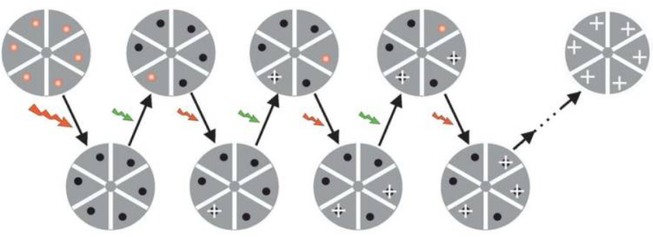 诺贝尔化学奖|那些“错失”诺奖的华人科学家们｜BIOgraphy