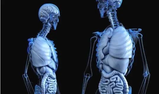 肝硬化|警惕！轻度的脂肪肝与个体的死亡风险或相关！