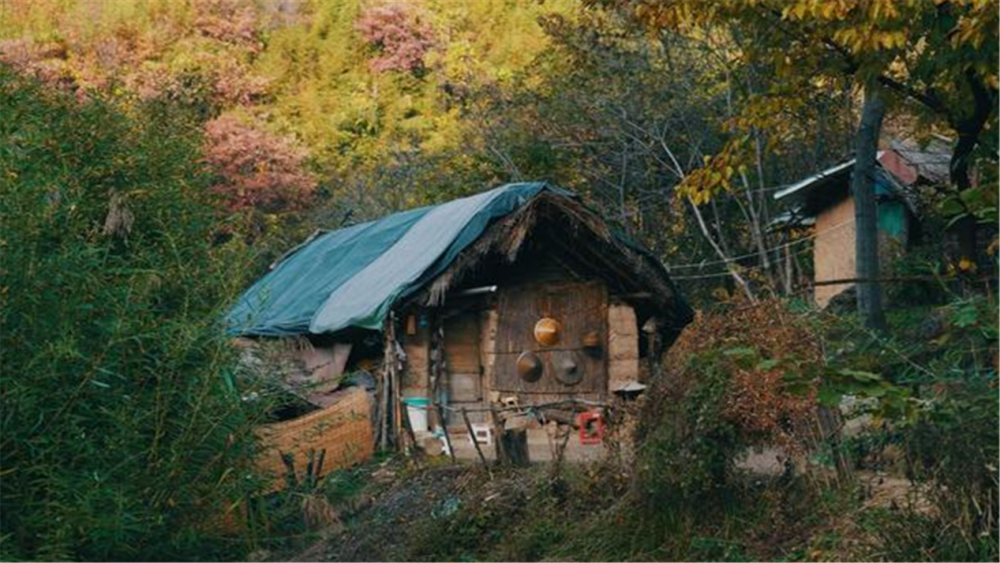 26歲小夥避世隱居終南山,父親一腳踹了過去:沒錢,學什麼隱居?