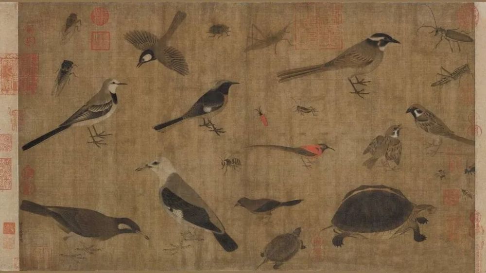 王新越|从山野常客到濒危物种：两种中国本土龟类的悲歌