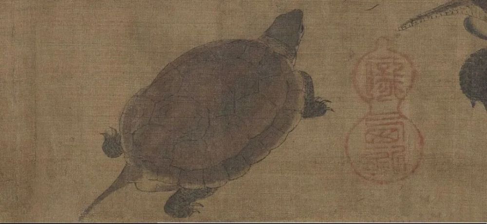 王新越|从山野常客到濒危物种：两种中国本土龟类的悲歌