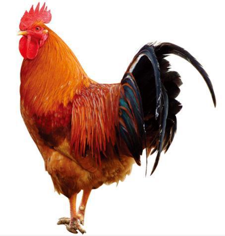 2020 10 / 15 19 : 35 星座大人 企鹅号 分享 评论 0 我们每个人都有