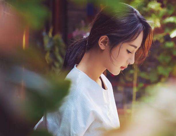 杨紫|铁打的战绩，永远的陪跑，真替杨紫感到亏得慌