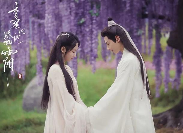 杨紫|铁打的战绩，永远的陪跑，真替杨紫感到亏得慌