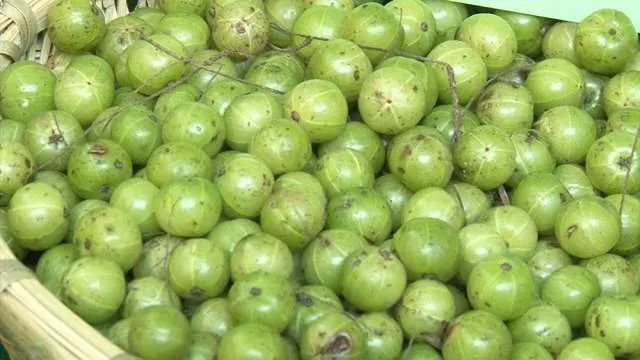 你喜欢吗这种苦涩后回甜的水果