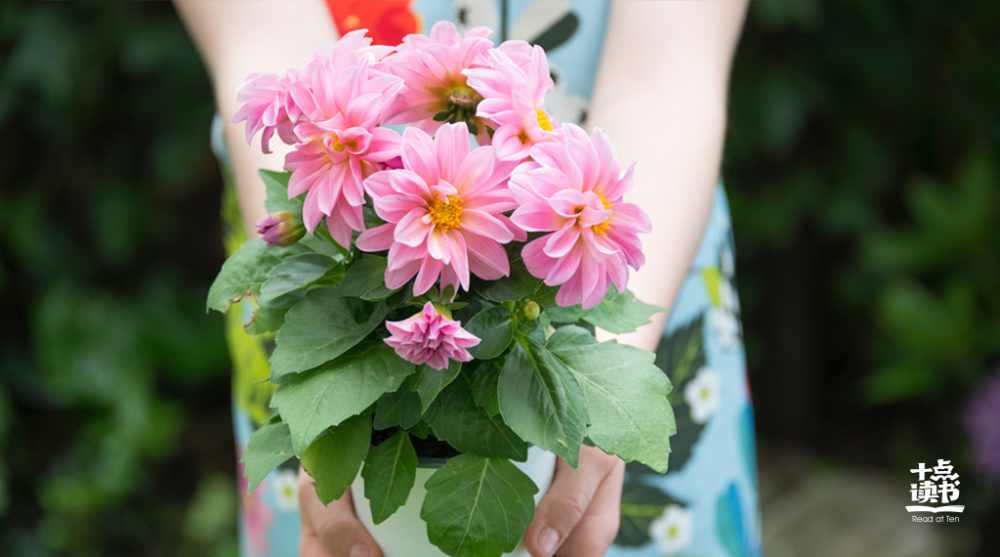 爱情|人生的三把钥匙：不争、不辩、不拧巴