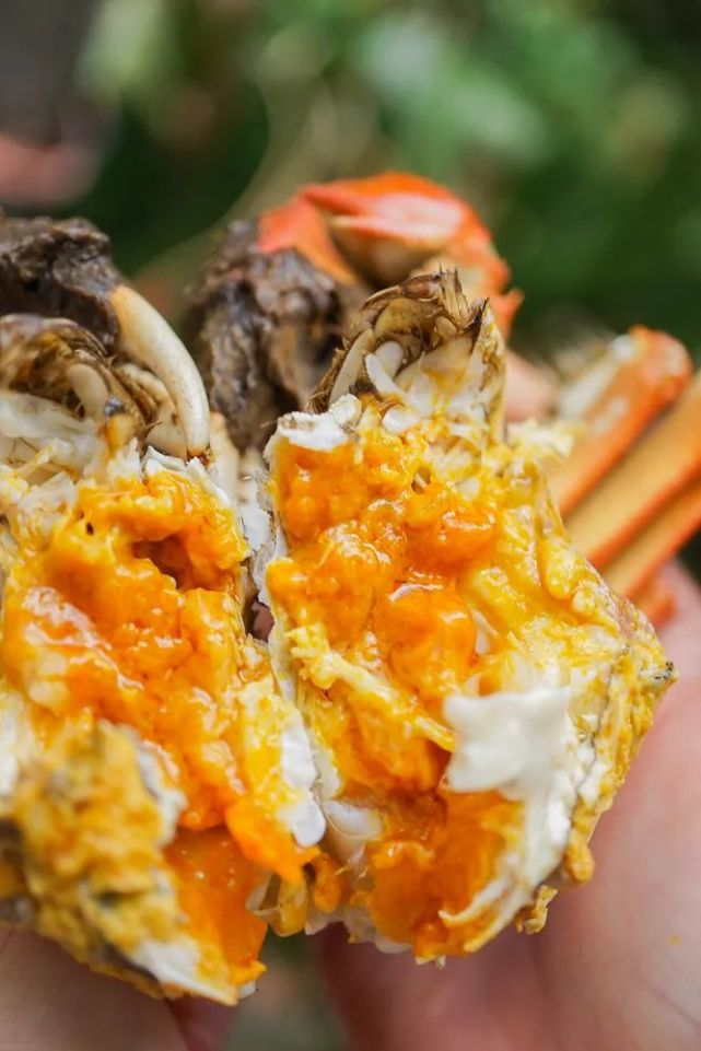 媒体中心  陈喜 查敏 武娟 / 滁州文化和旅游局编辑:王伟  邱红艳责编