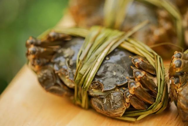 媒体中心  陈喜 查敏 武娟 / 滁州文化和旅游局编辑:王伟  邱红艳责编