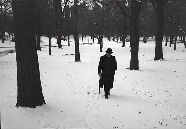 木心|写下了《从前慢》的木心，半生流离，暮年却站在了舆论的风口