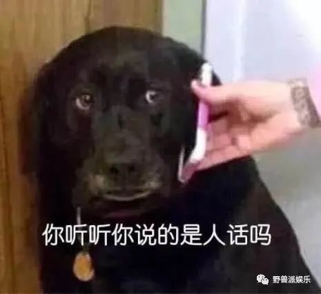 赵温柔|两个前女友出来锤渣男？这瓜越吃越多了……