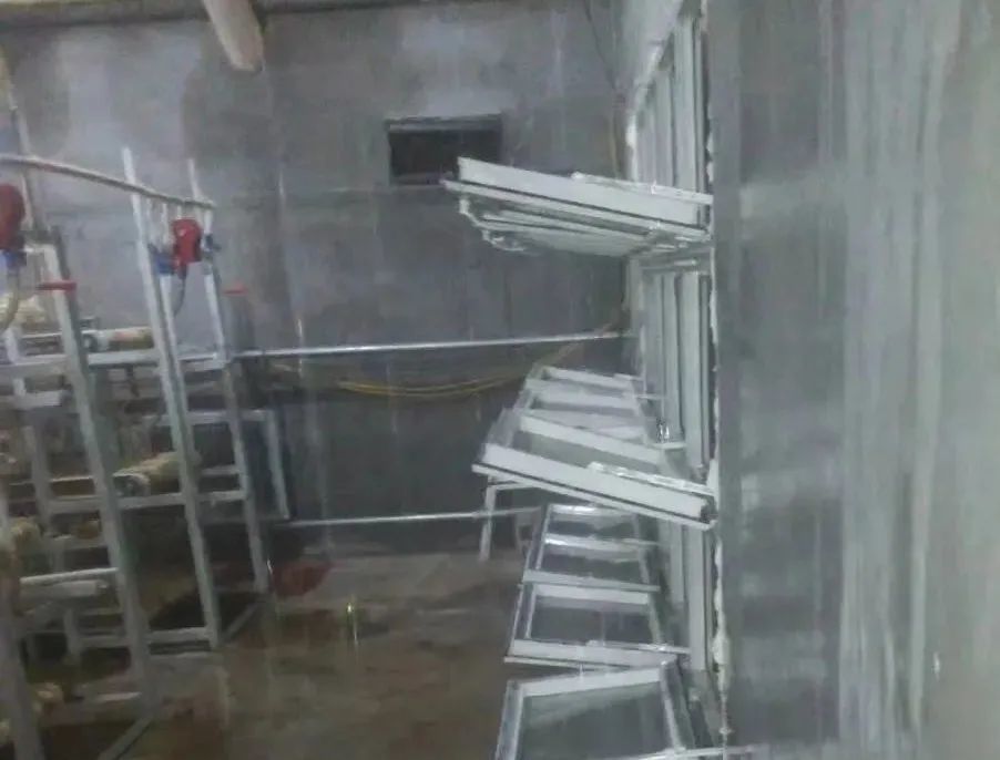 鸡舍|养殖管理丨鸡舍没有大通风，为啥鸡仍受凉？