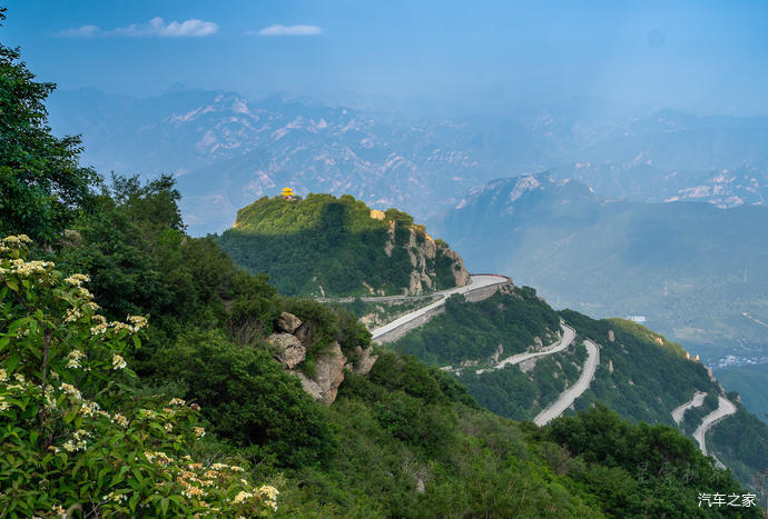 高山草甸|北京第三高峰百花山，夏日清凉世界，高山林海花园