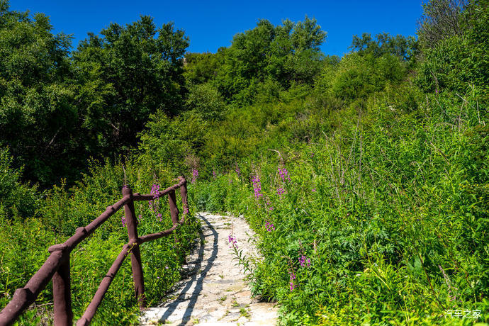 高山草甸|北京第三高峰百花山，夏日清凉世界，高山林海花园