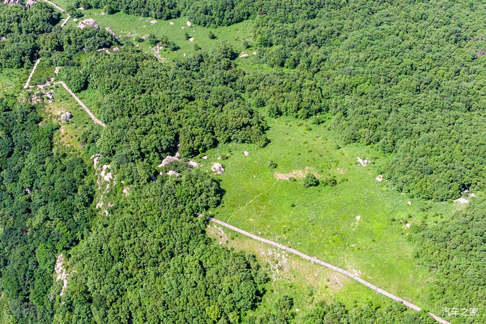 高山草甸|北京第三高峰百花山，夏日清凉世界，高山林海花园