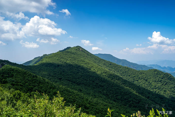高山草甸|北京第三高峰百花山，夏日清凉世界，高山林海花园