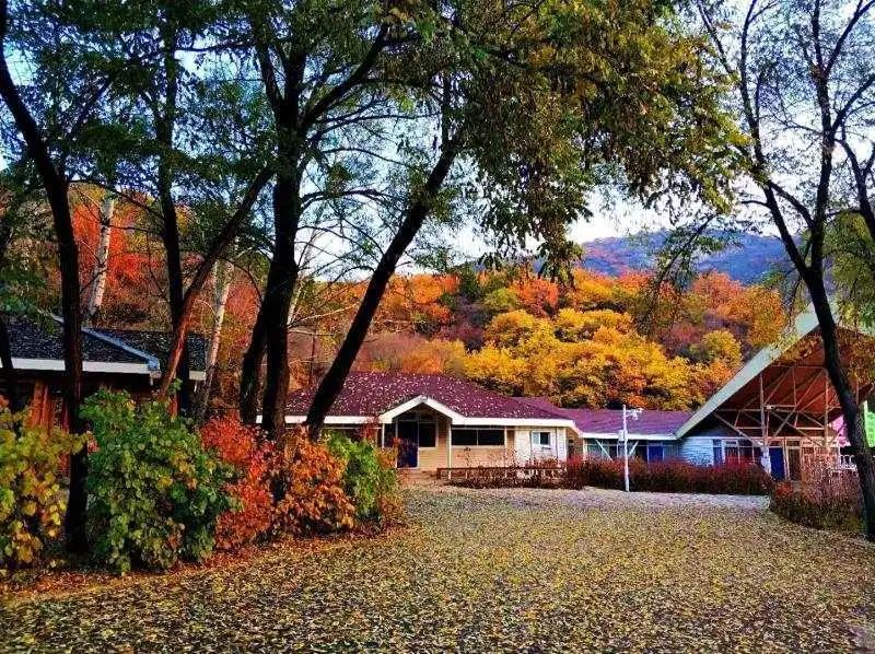 红叶|浪漫赏叶季 周末到这些地方感受金秋之美