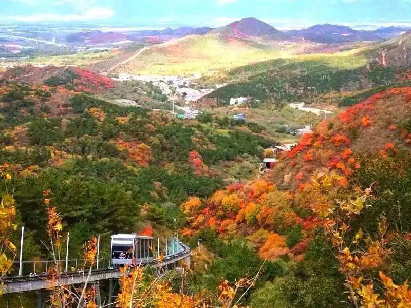 红叶|浪漫赏叶季 周末到这些地方感受金秋之美