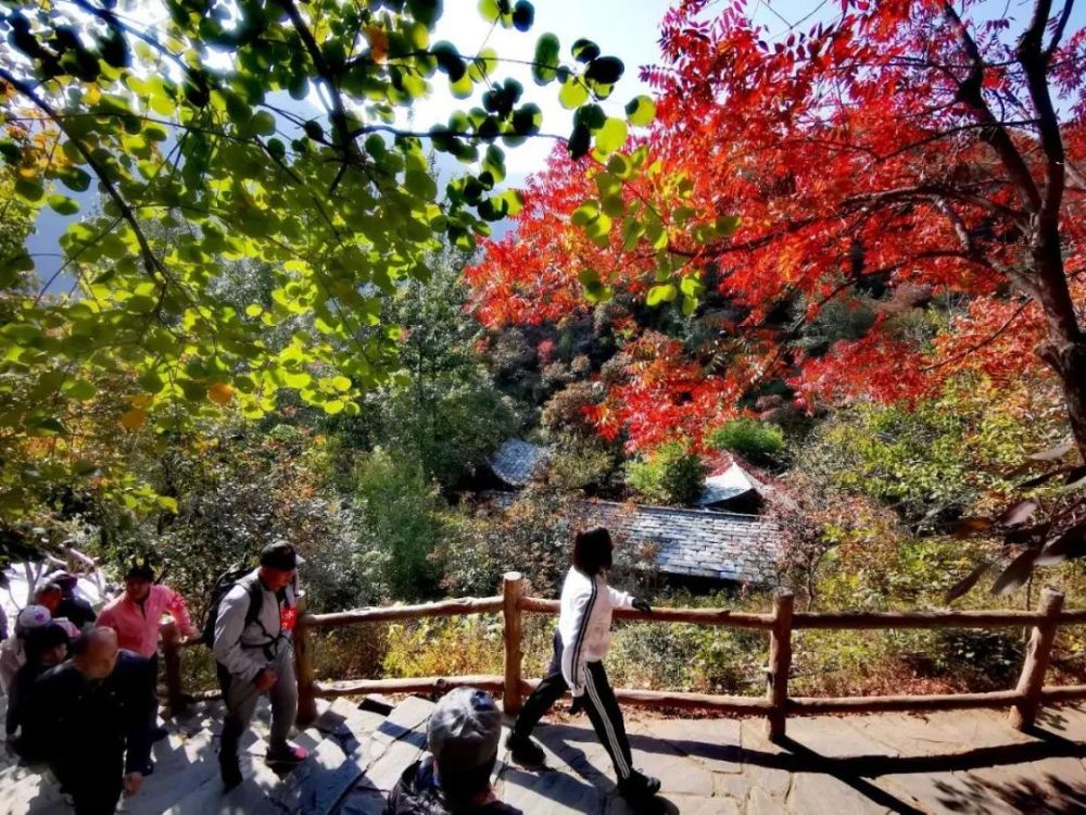 红叶|浪漫赏叶季 周末到这些地方感受金秋之美