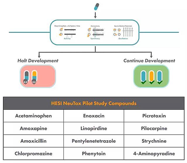 脑科学|【文献汇编】多孔微电极阵列在脑科学研究中的应用（聚焦癫痫