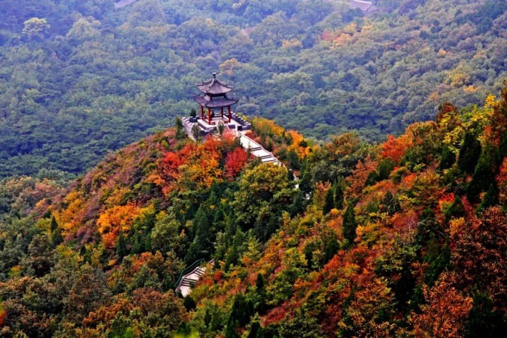 微度假|秋季京郊游｜满城尽是“黄金甲”，怎能不去耍一耍