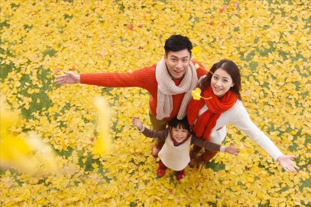 微度假|秋季京郊游｜满城尽是“黄金甲”，怎能不去耍一耍