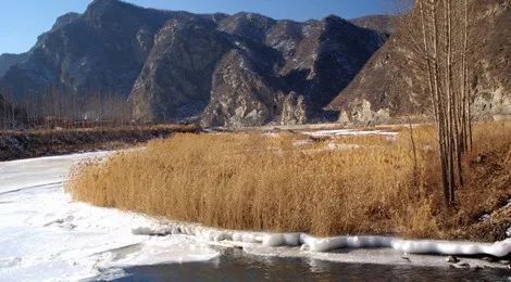 微度假|秋季京郊游｜满城尽是“黄金甲”，怎能不去耍一耍