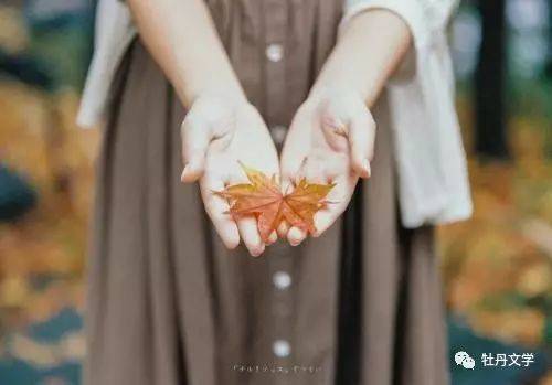 白凤君|白凤君｜微风的树下