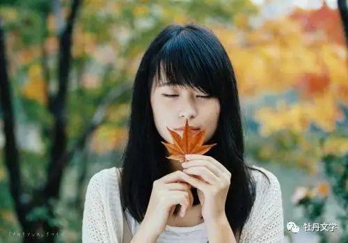 白凤君|白凤君｜微风的树下