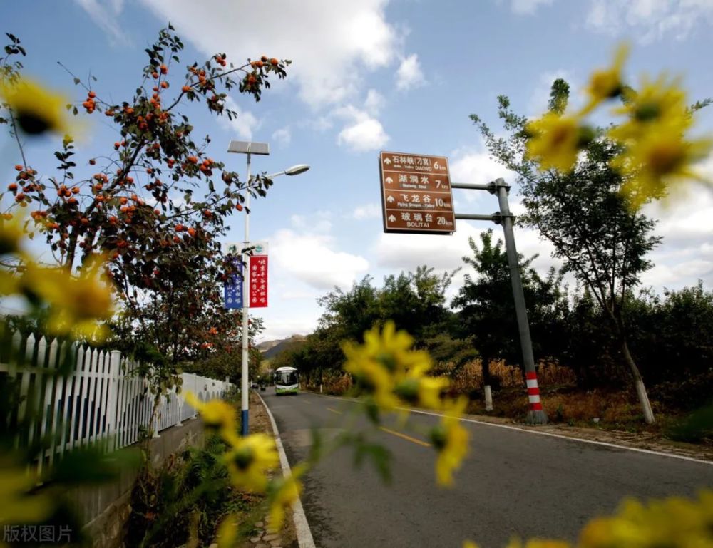 石岭|北京北寨—白云寺—康石岭垭口—黄松峪一日徒步攻略