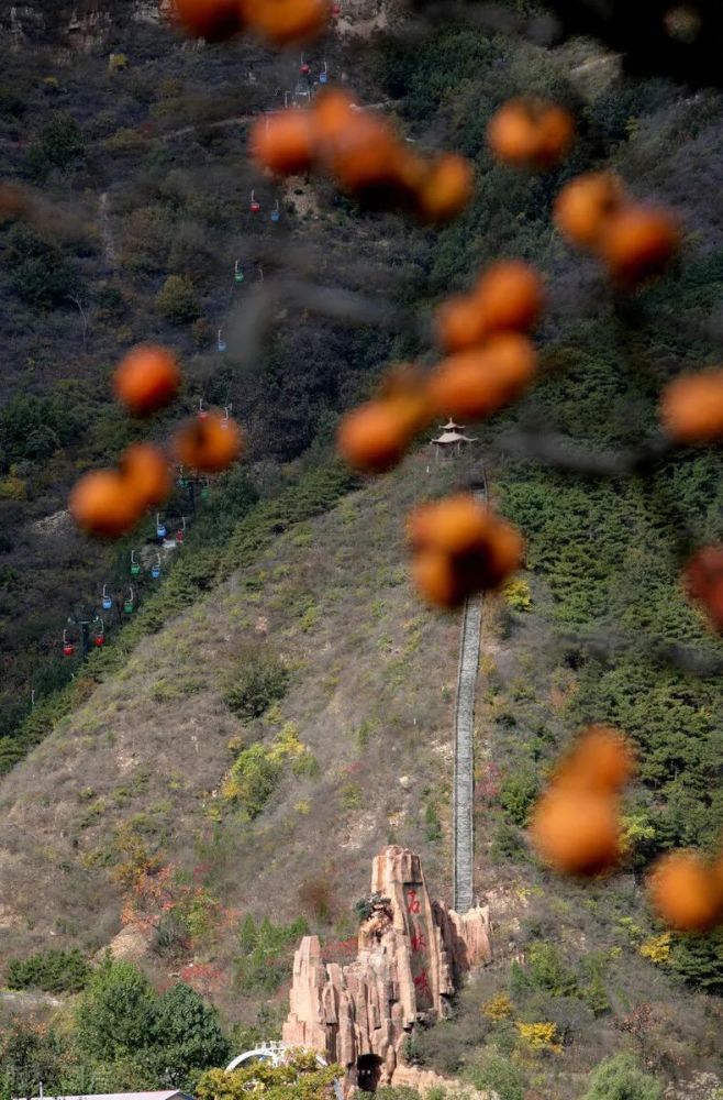 石岭|北京北寨—白云寺—康石岭垭口—黄松峪一日徒步攻略