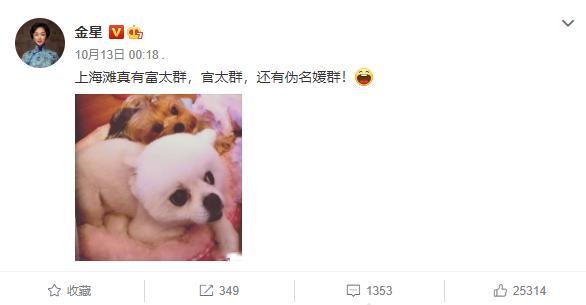 帕丽斯·希尔顿|假名媛有1000种伪装套路，但她们远不如豪门真名媛有手段
