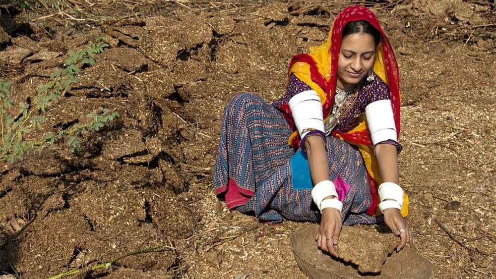 印度_科技|印度尖端芯片用牛粪造？自信表示能得到全球认可：无惧任何考验
